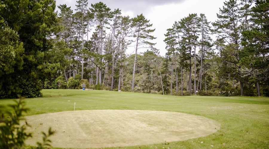9 Hole Traditional Golf Course, Fling Golf, and Frisbee Golf