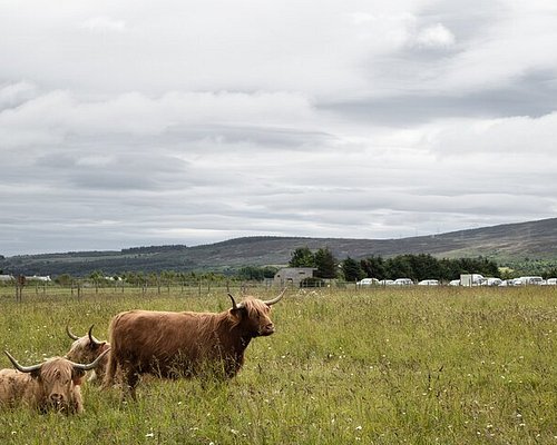 hiking day trips from edinburgh