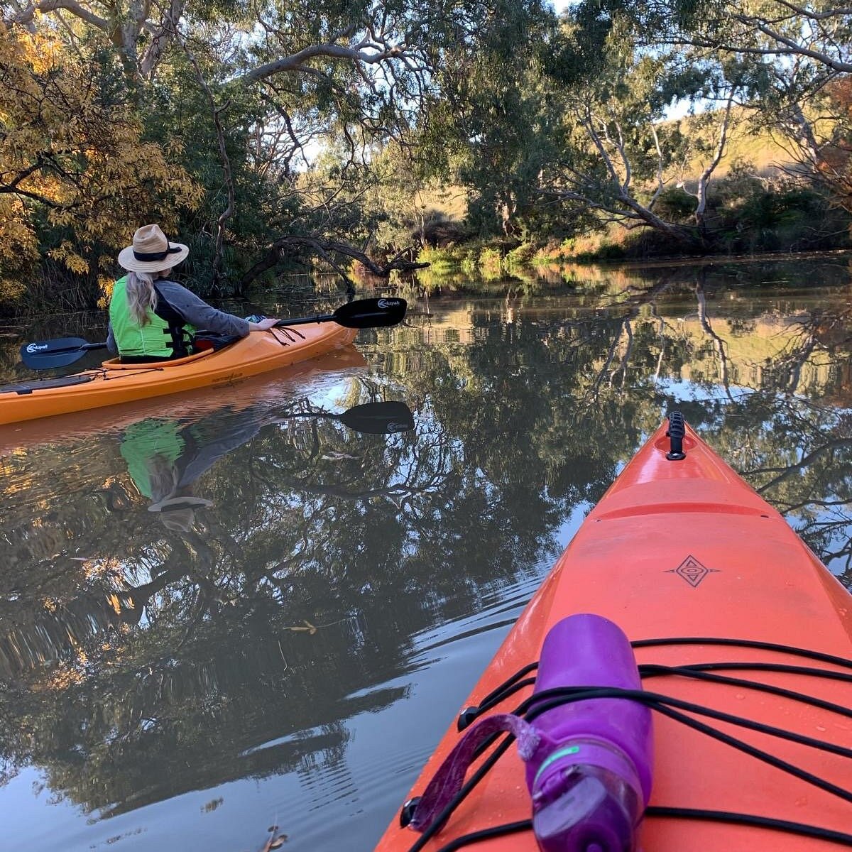 Geelong Kayak Hire (Highton, Australia): Address, - Tripadvisor
