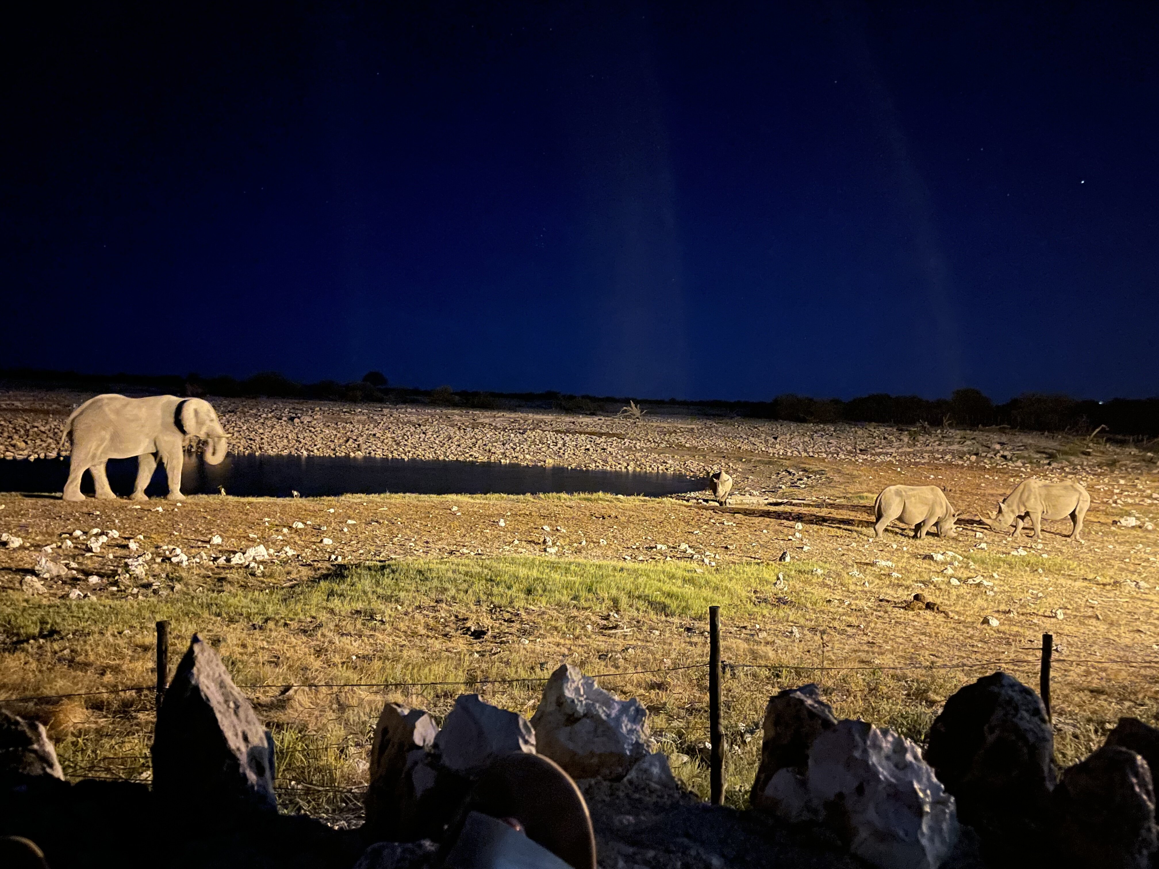 OKAUKUEJO CAMP (AU$264): 2023 Prices & Reviews (Etosha National Park ...