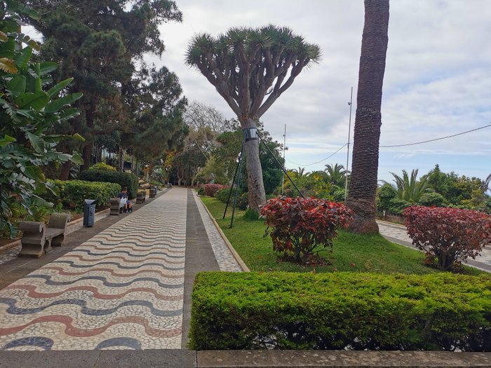 Imagen 8 de Parque Municipal de Arucas