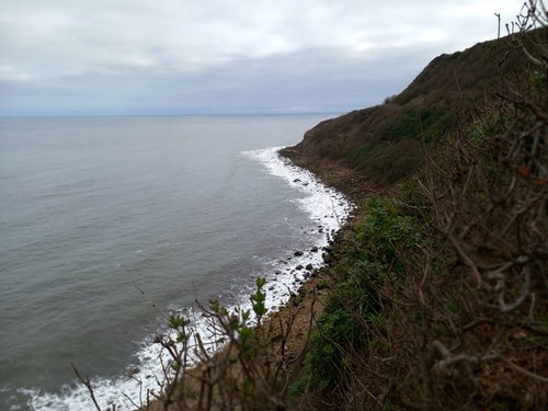 COBER HILL - Updated 2023 Reviews & Photos (Scarborough)