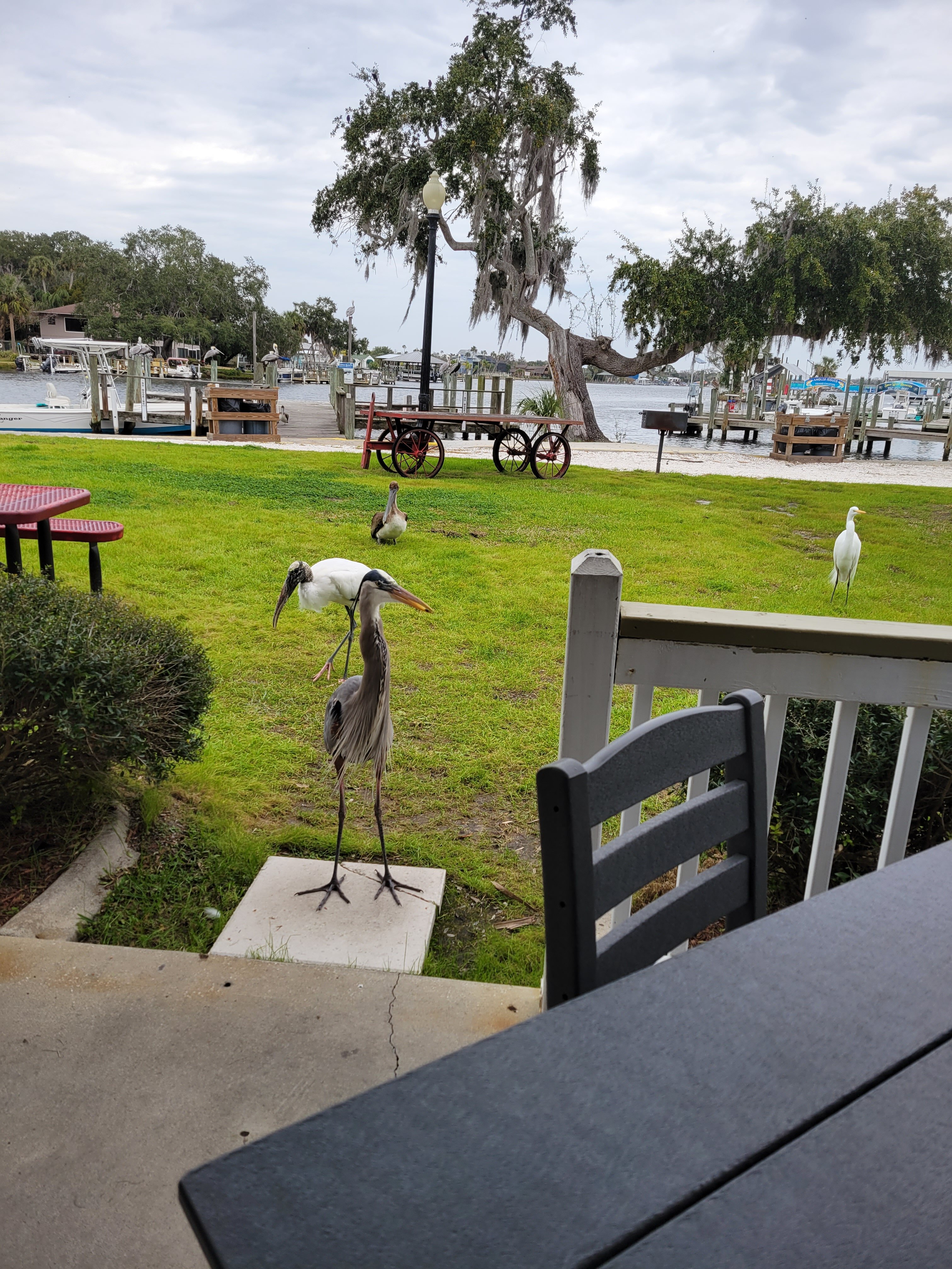 Florida Cracker Riverside Resort UPDATED 2023 Prices Reviews   Florida Cracker Riverside 