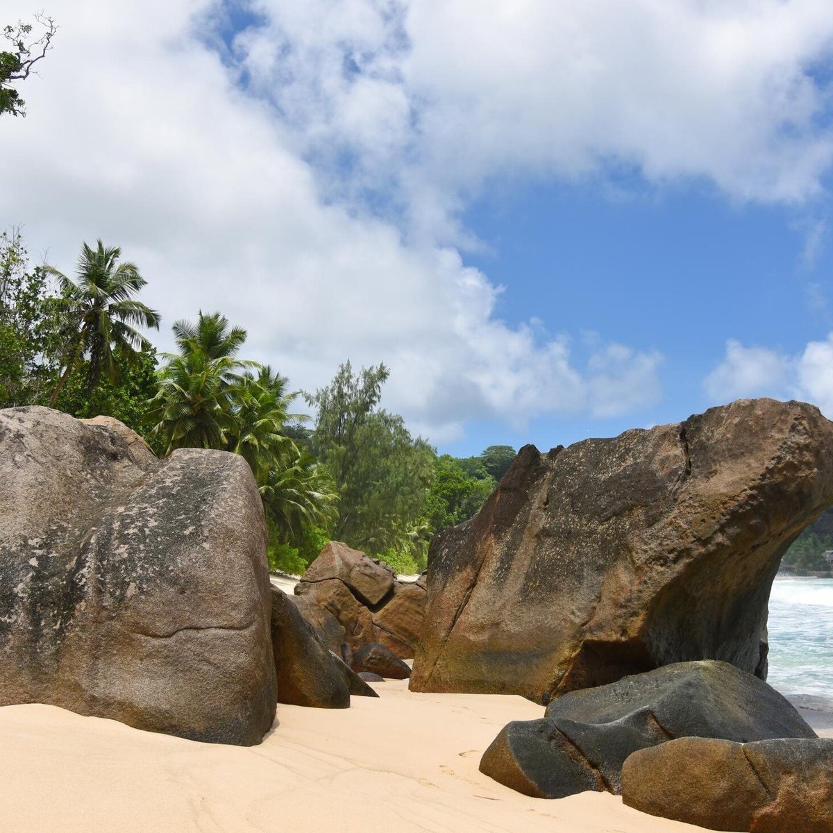 Coastline Island Tour Isla Mahé Qué Saber Antes De Ir Actualizado 2024 Tripadvisor 3810