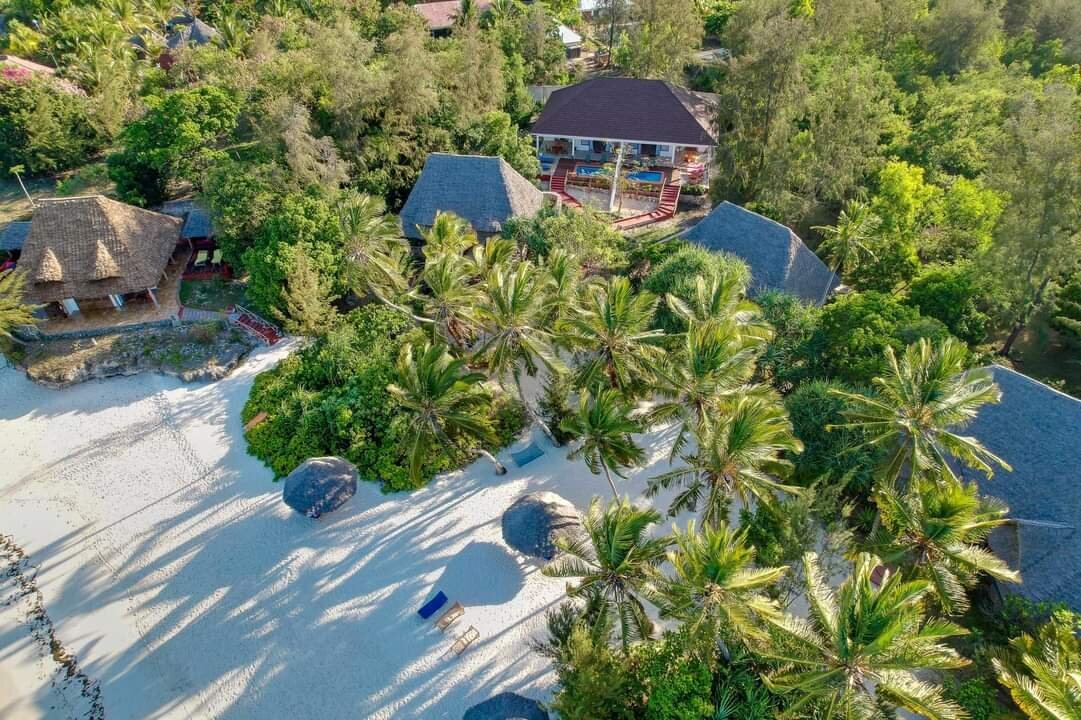 PONGWE BEACH HOTEL - Updated 2024 Prices & Reviews (Tanzania)