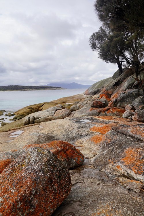 Flinders Island Anita T review images