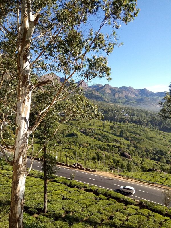 조이스 리조트 (Munnar Joys Palace Resorts, Chithirapuram) - 호텔 리뷰