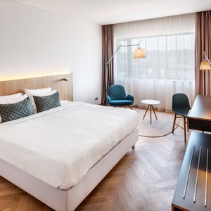 Standard King Guest Room