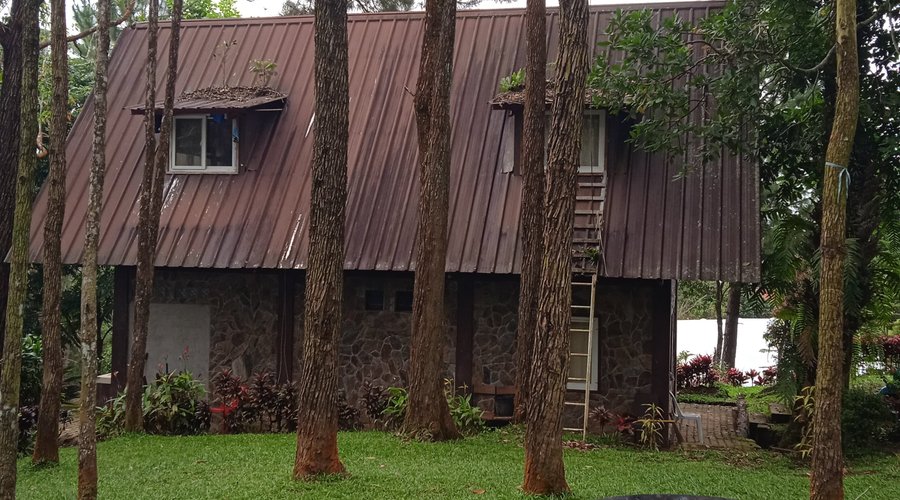 This is one of their larger cabins.