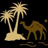 Vacations In Morocco