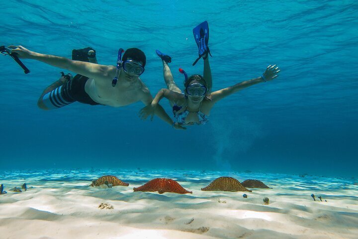 2023 Cozumel Snorkel tour to El Cielo Beach