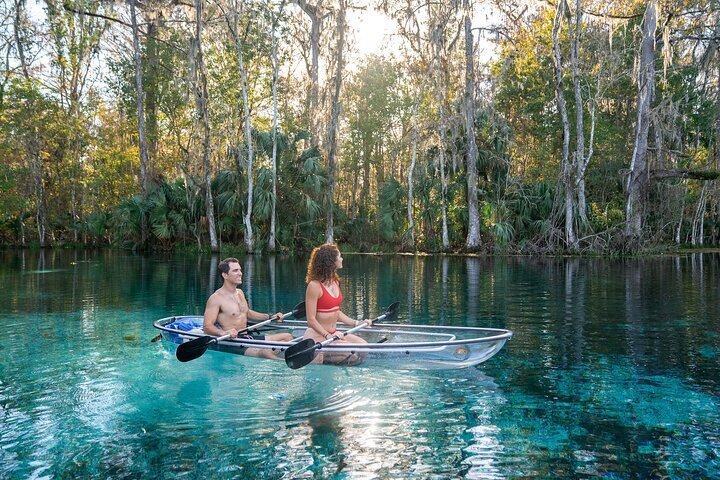 2024 Silver Springs: Clear Kayak Wildlife Adventure