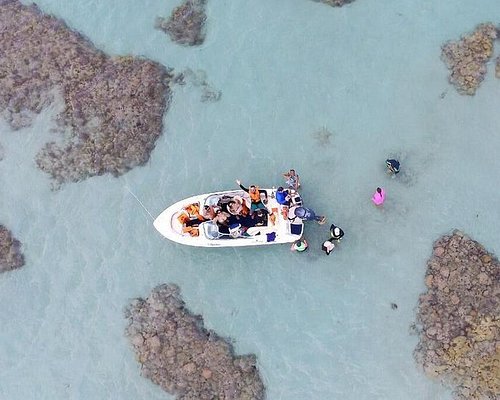 AS 10 MELHORES excursões em Natal - Tripadvisor AS 10 MELHORES excursões em Natal - Tripadvisor