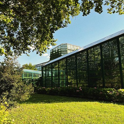 A greenhouse in Bucharest Botanical Garden in Romania