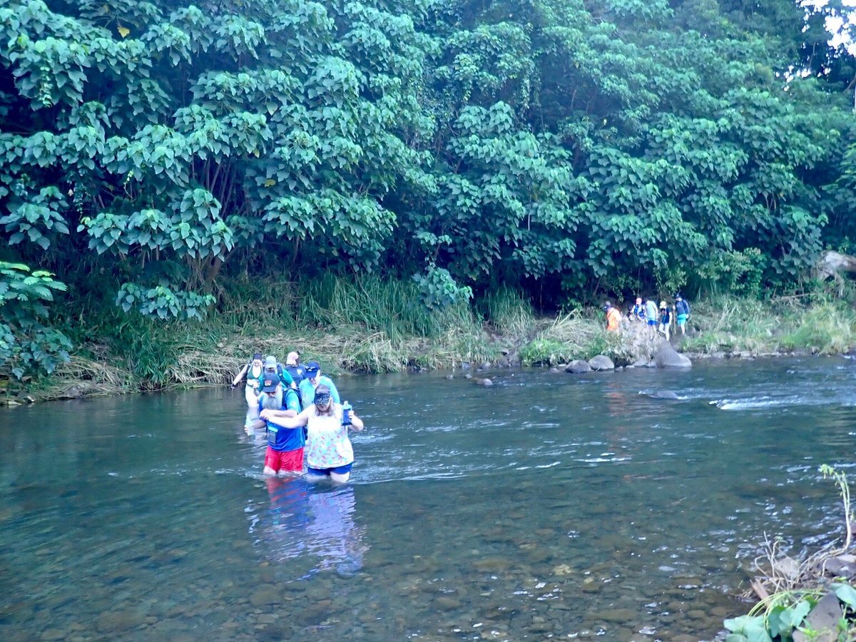 Ancient River Kayak (Kapaa) - All You Need to Know BEFORE You Go