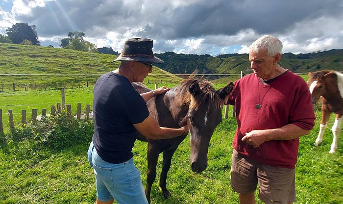 MAIRENUI RURAL RETREAT (AU$138): 2023 Prices & Reviews (North Island ...