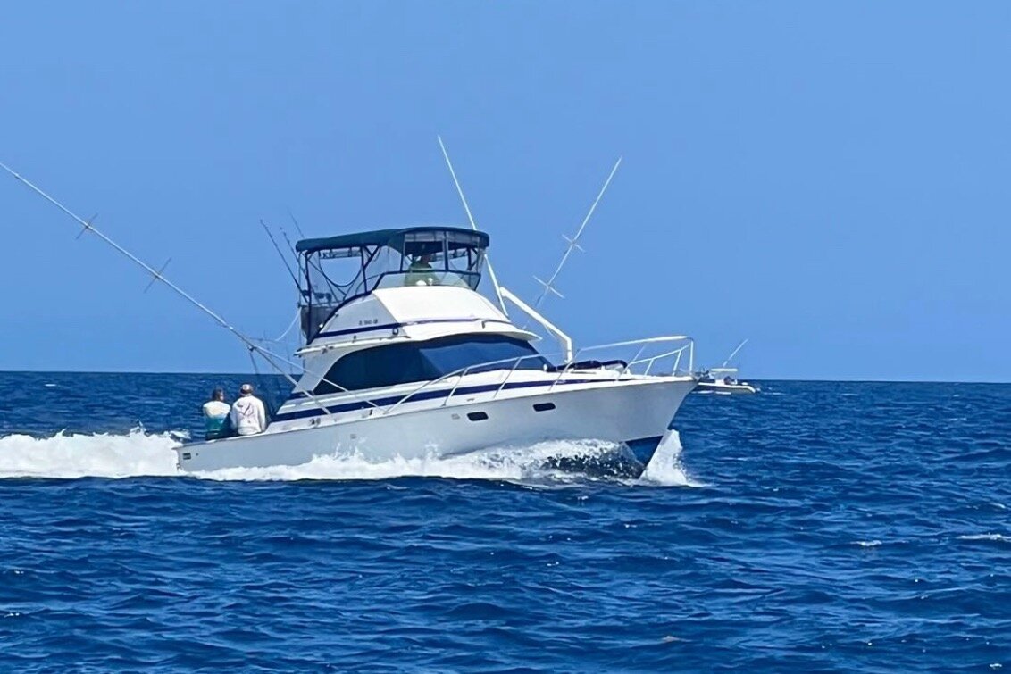 Soflo.Sportfishing (Fort Lauderdale, FL): Address, Phone Number ...