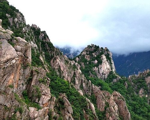 seoul family tour packages