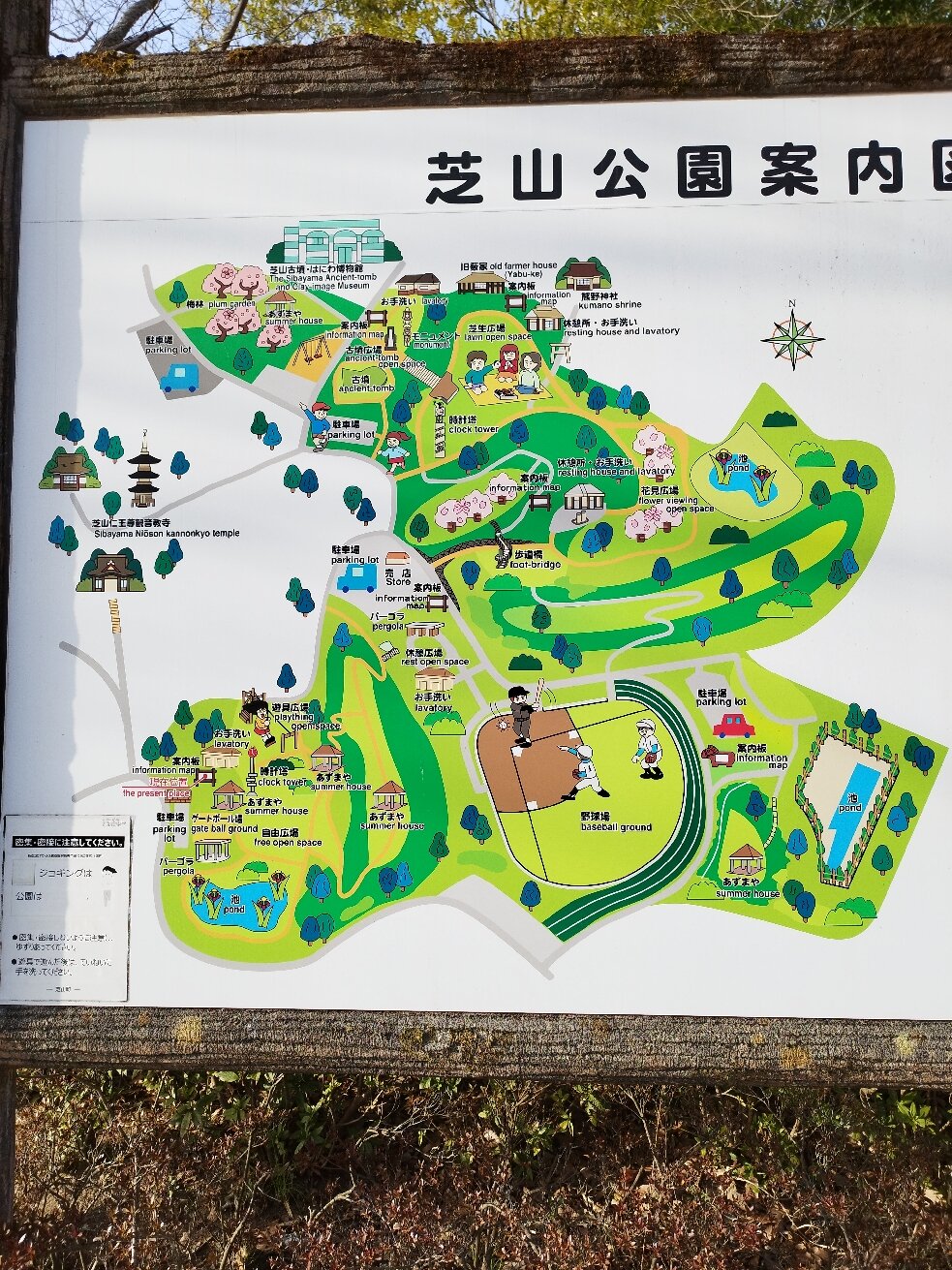 2025年 芝山公園 - 出発前に知っておくべきことすべて