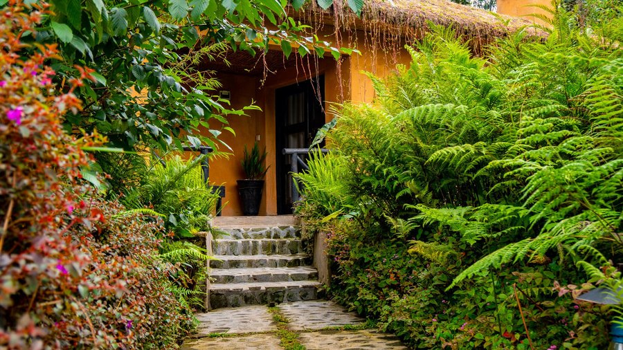 View of the luxury cottage