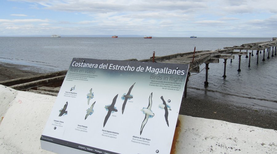 VISTA DEL MUELLE