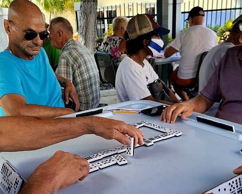 tour bahia miami