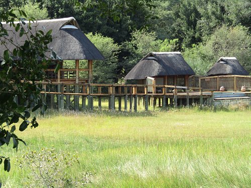 Camp Okavango Okavango Delta Lodge Reviews And Photos Tripadvisor 5444