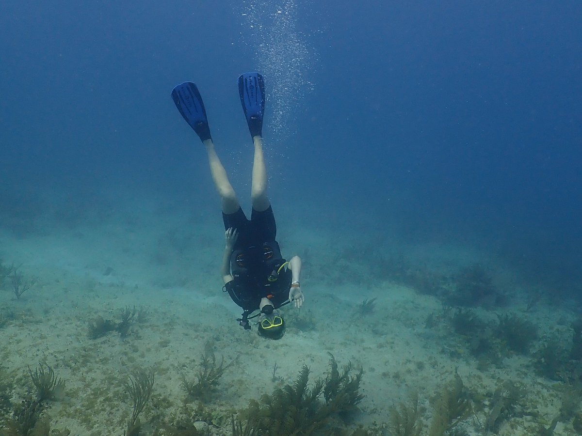 Découvrez la plongée sous-marine – Turquesa Diving