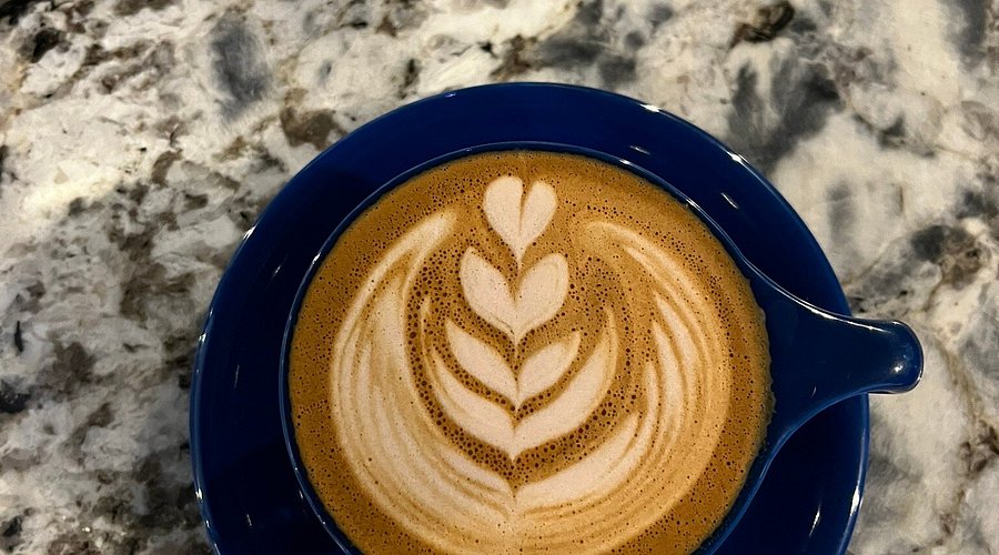 Bear Necessities Coffee Bar
