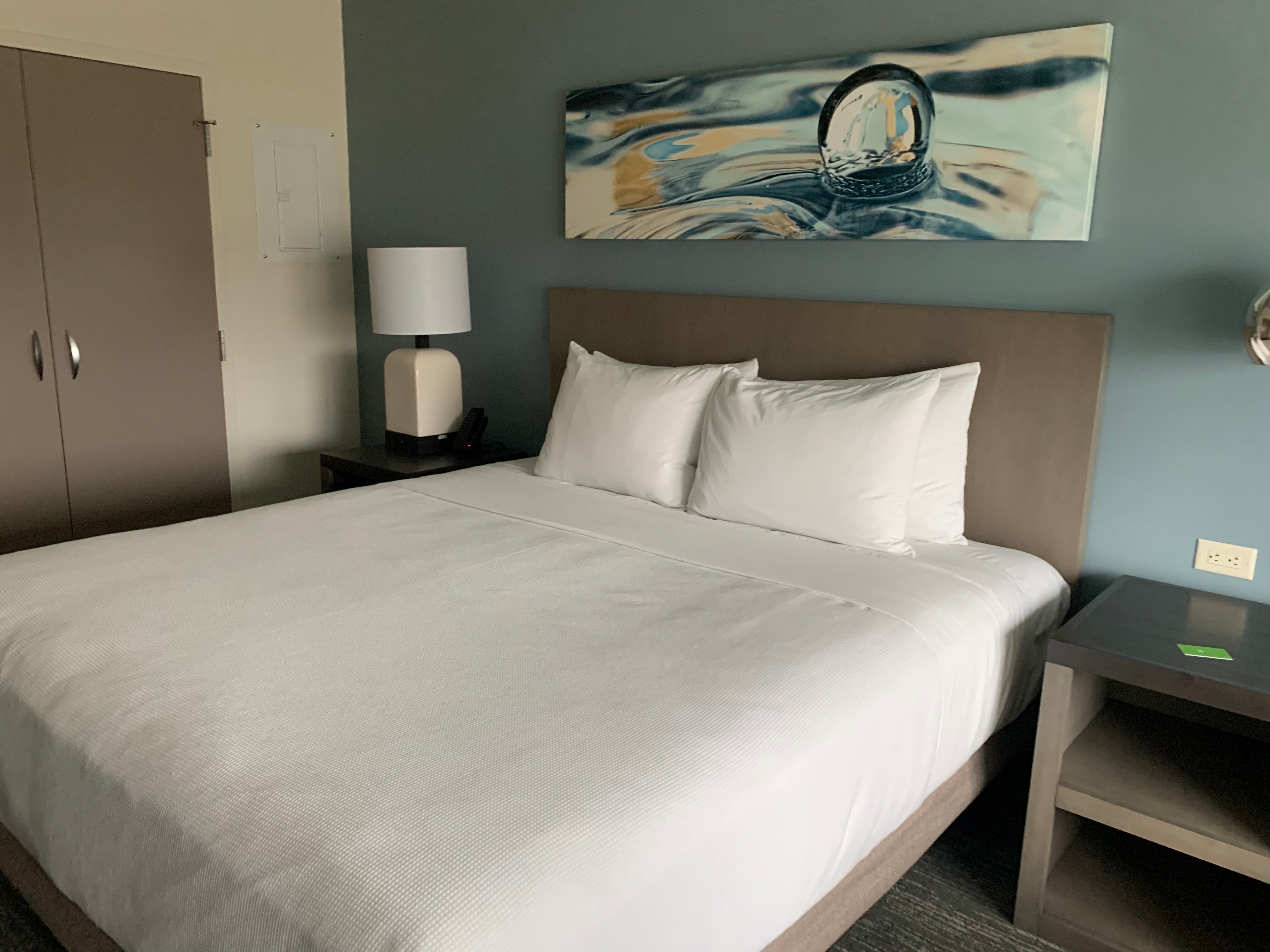 HYATT HOUSE HOUSTON MEDICAL CENTER Updated 2024 Prices Hotel   Rooms 