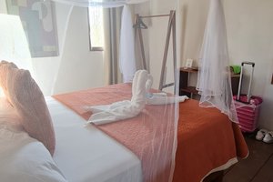 Habitación y suite