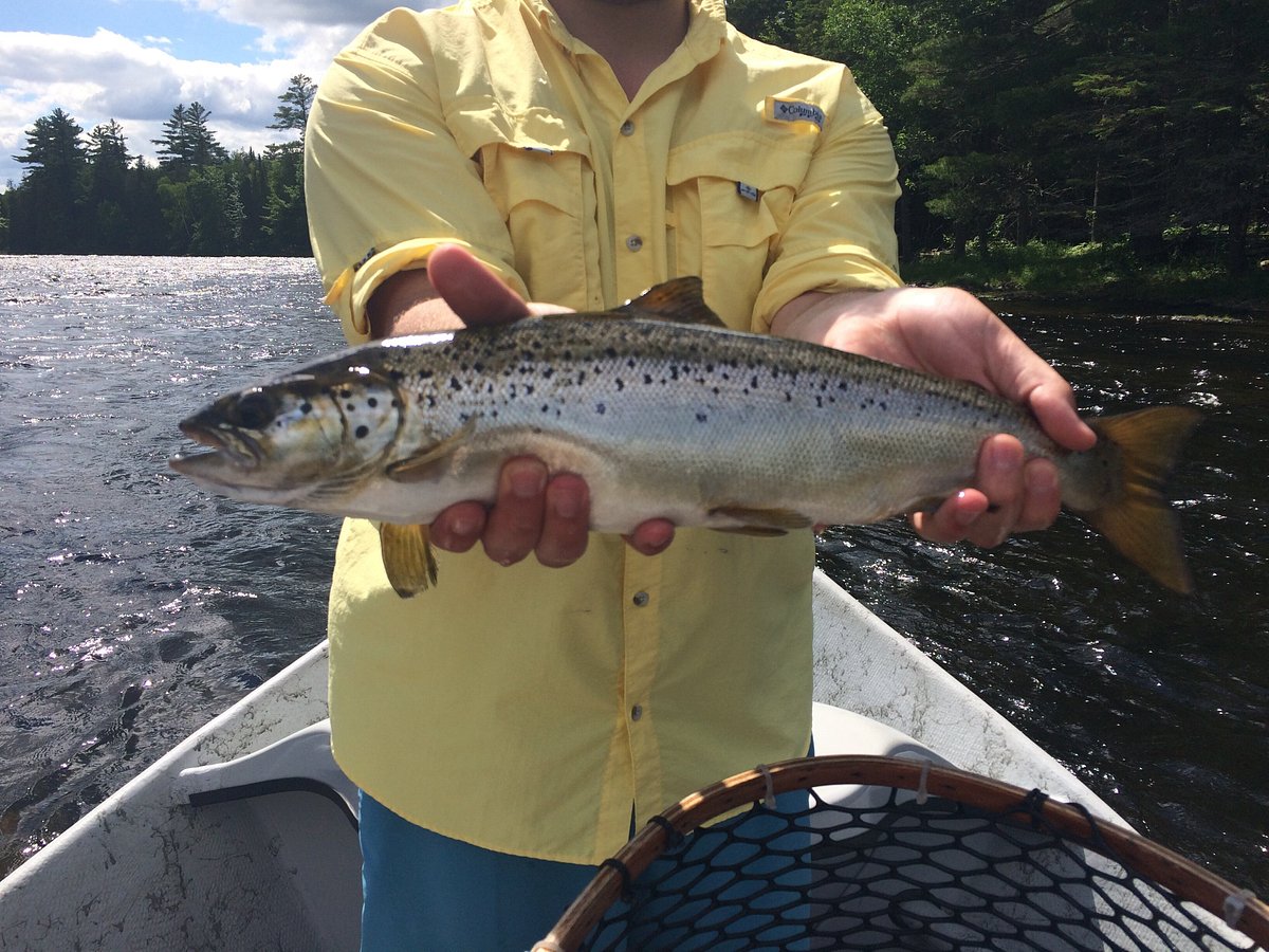 A Beginner's Guide to Fly Fishing Gear - Activities Guide of Maine