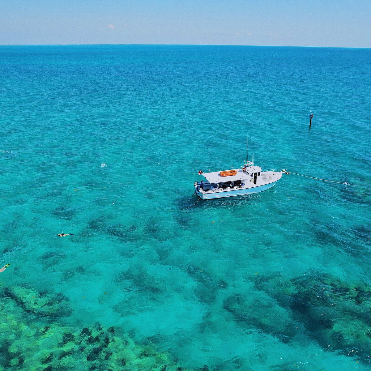 SNORKELING KEY WEST (2024) All You Need to Know BEFORE You Go (with