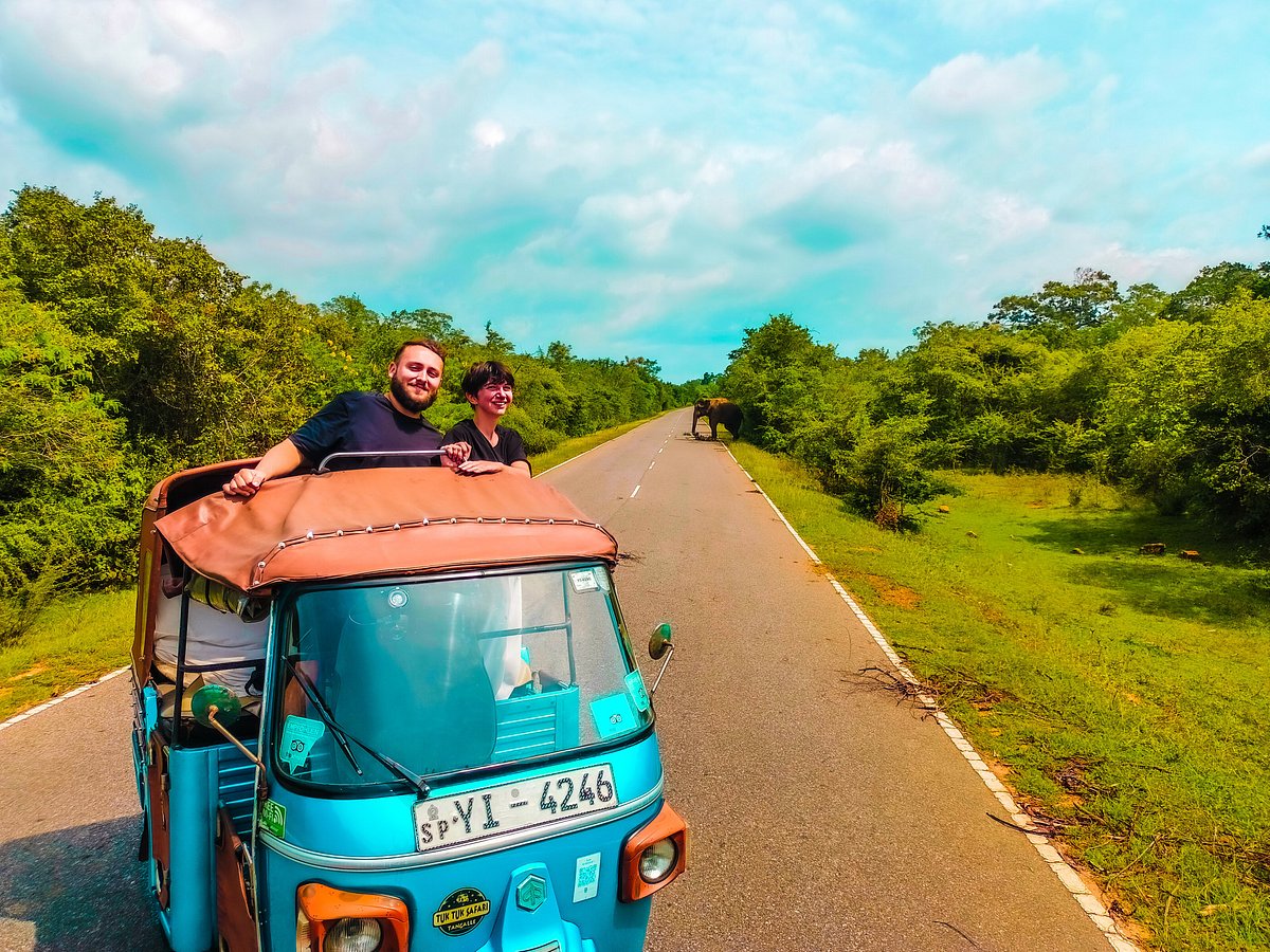 Tuk Tuk Safari Tangalle, Тангалле: лучшие советы перед посещением -  Tripadvisor