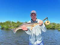 Fishing Reports from Captain Mikes - Captain Mike's Marina