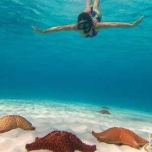 Playa El Cielo (Cozumel) - All You Need to Know BEFORE You Go