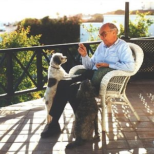 José Saramago: History, Utopia, and the Necessity of Error - Mark