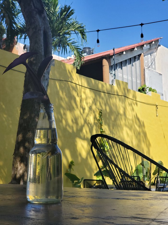 LA EMBAJADA BACALAR Hostel Reviews Photos Rate Comparison Tripadvisor la-embajada-bacalar-hostel-reviews-photos-rate-comparison-tripadvisor