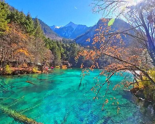 5-Day Jiuzhaigou Journey from Chengdu - Recap of the 5-day Jiuzhaigou adventure and experiences