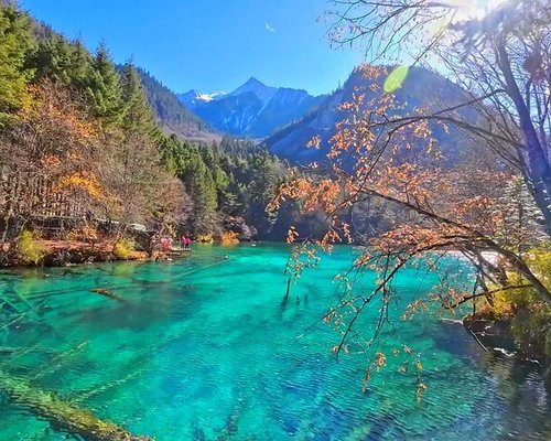 5-Day Jiuzhaigou Journey from Chengdu - Recap of the 5-day Jiuzhaigou adventure and experiences