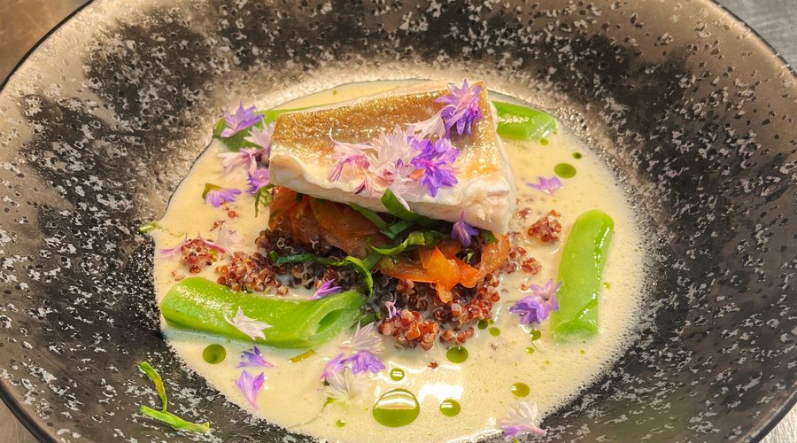 Hake • Broad bean • red quinoa