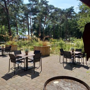 Receptie Bospark Langeloërduinen Norg