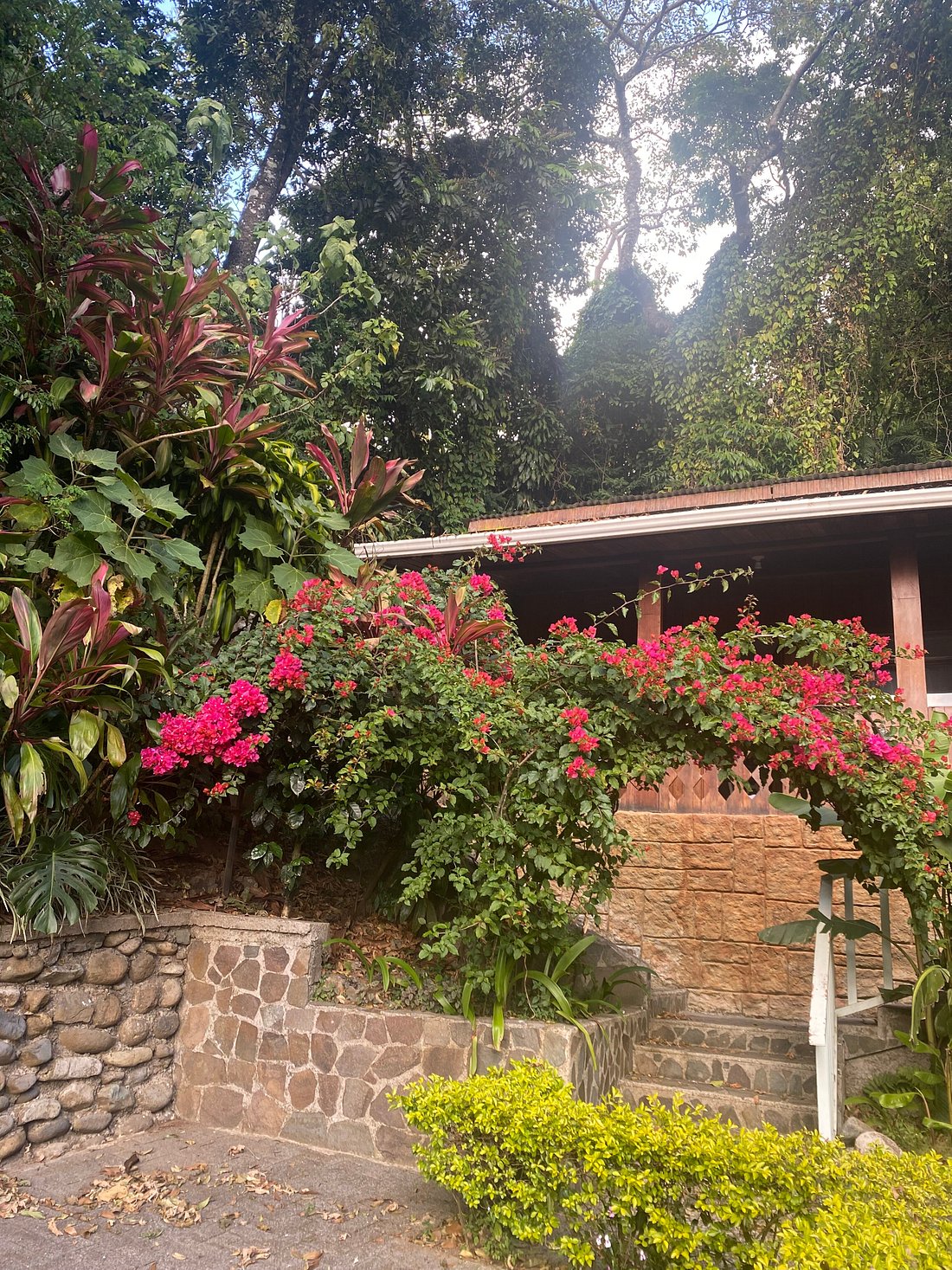 Hotel Quetzal Inn Monteverde Costa Rica Santa Elena Tarifs 2023 