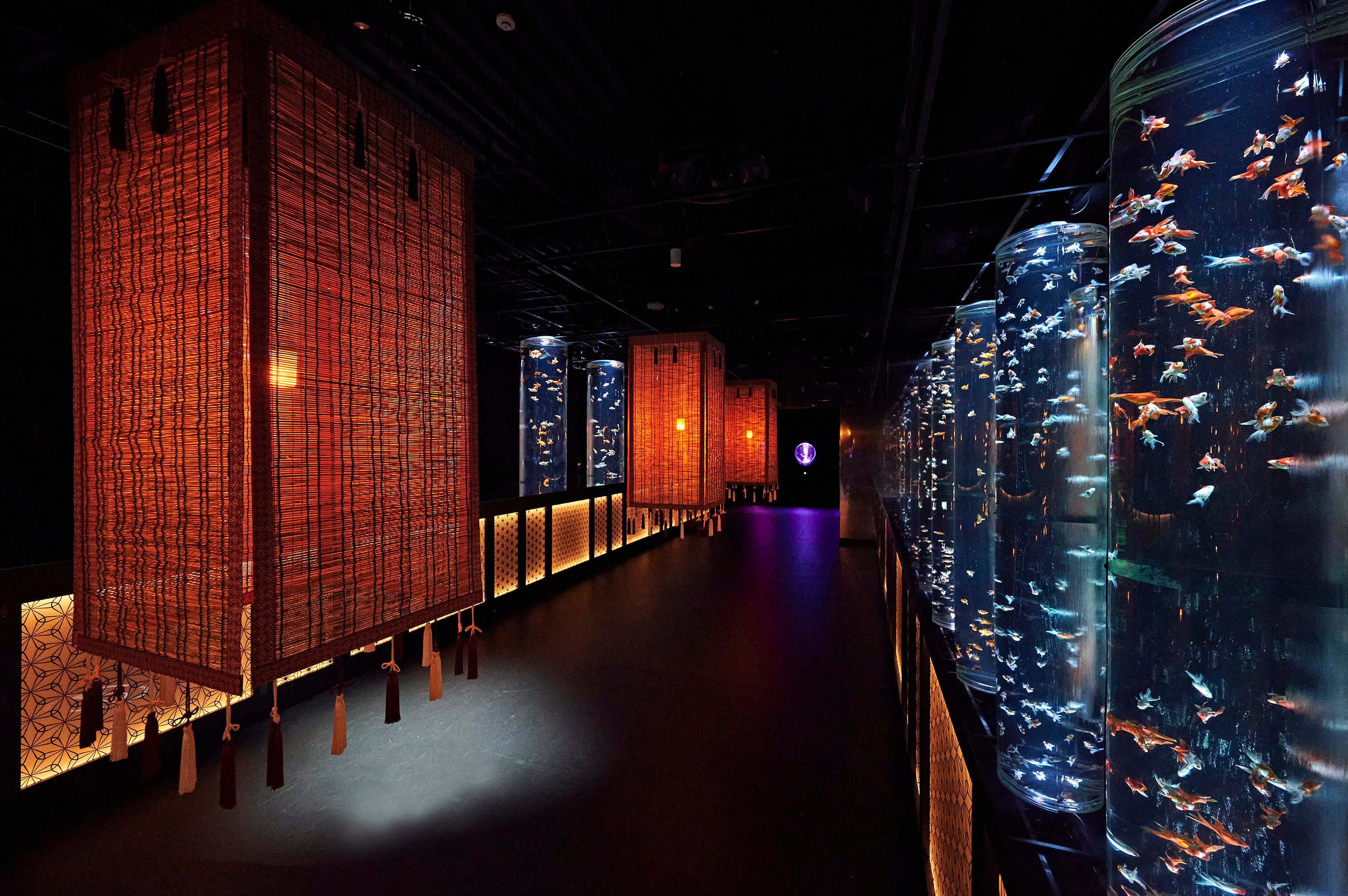 Art Aquarium Museum GINZA - 旅游景点点评- Tripadvisor