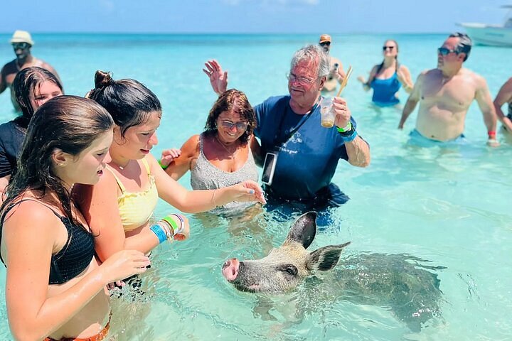 pig beach bahamas tour from miami