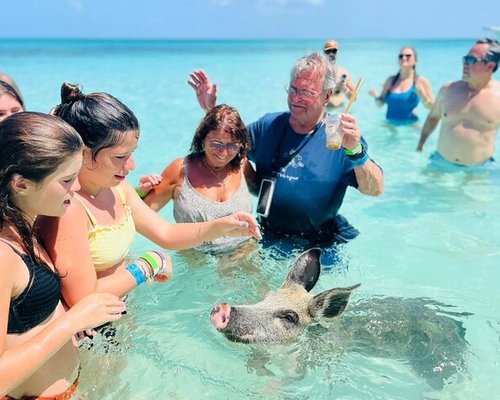 Tickets & Tours - Paradise Island , Nassau - Viator