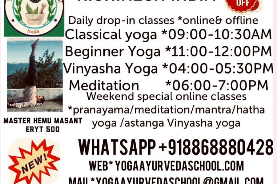 Yoga Ayurveda School image