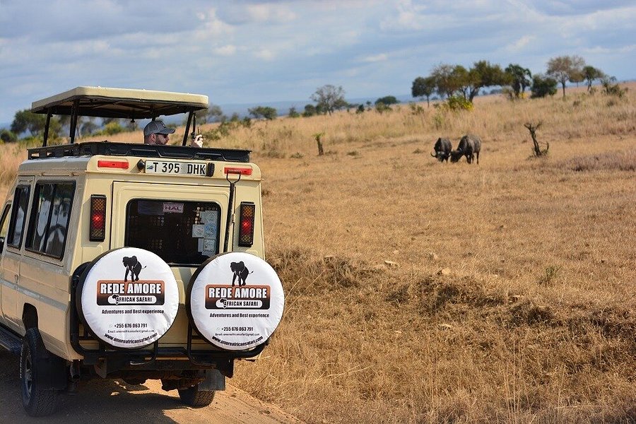 Rede Tours and Safaris LTD| Best tour operator in Arusha, Moshi, Kilimanjaro and Zanzibar, Tanzania image