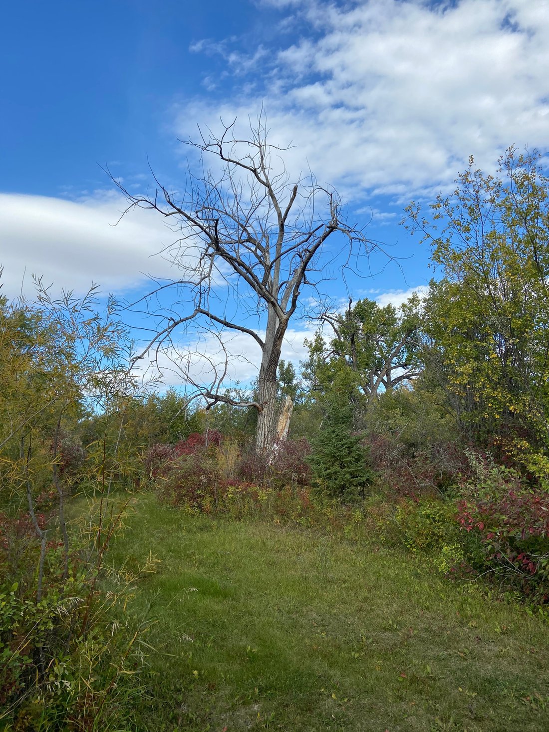 prairie-ridge-waldheim-campground-reviews-photos-tripadvisor