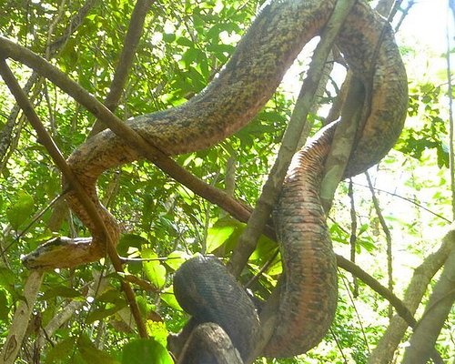 tour madagascar turisanda